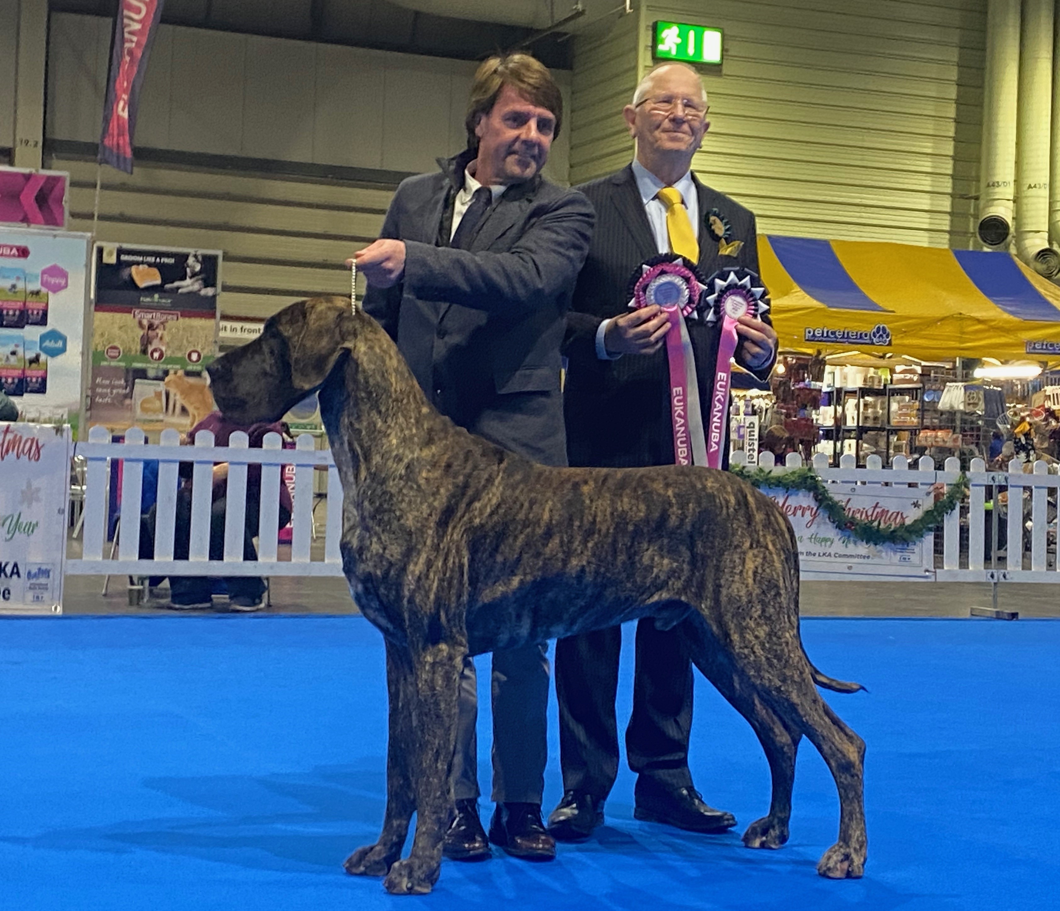 jake blues sharcon great danes